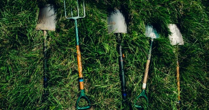 Grampa’s Weeder: The Original Stand-Up Weed Puller Tool Made with Real Bamboo