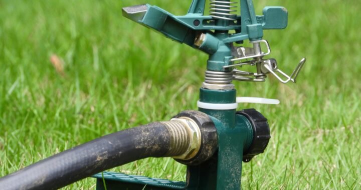 Chapin 20000: The Ultimate 1-Gallon Lawn and Garden Pump Pressured Sprayer